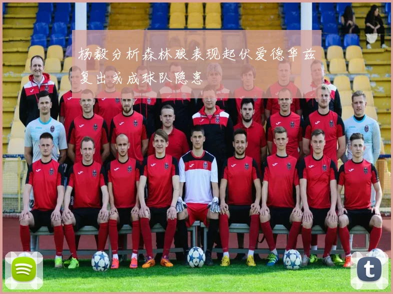 杨毅分析森林狼表现起伏爱德华兹复出或成球队隐患